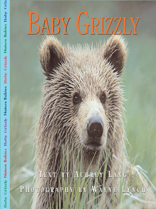 Title details for Baby Grizzly by Aubrey Lang - Available